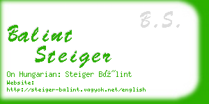balint steiger business card